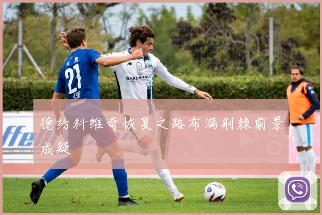 德约科维奇恢复之路布满荆棘前景成疑